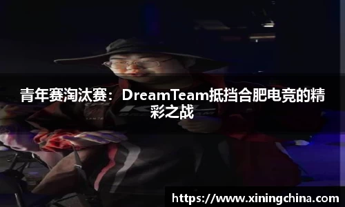 青年赛淘汰赛：DreamTeam抵挡合肥电竞的精彩之战